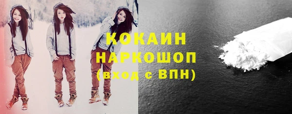 шишки Верея