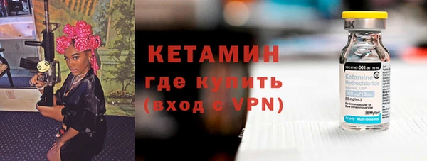 шишки Верея