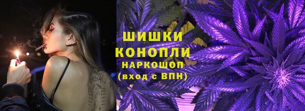 ECSTASY Бородино
