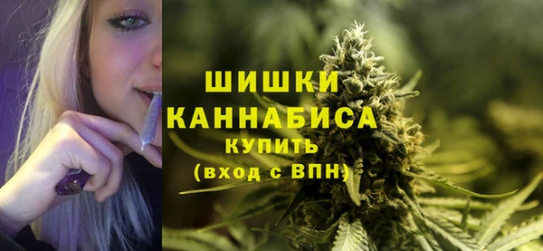 ECSTASY Бородино